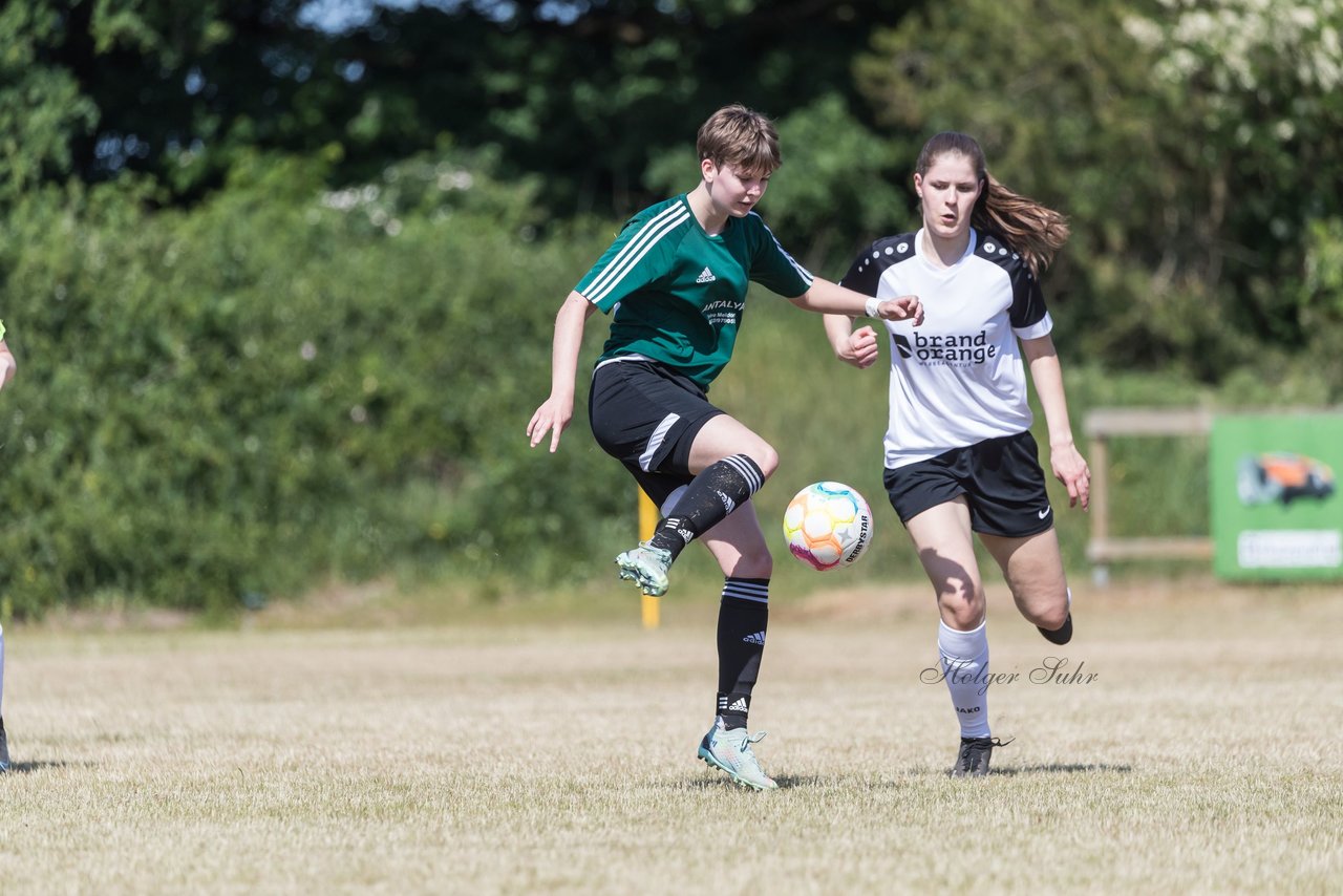 Bild 188 - wBJ TuRa Meldorf/Buesum - JFV Luebeck : Ergebnis: 1:0